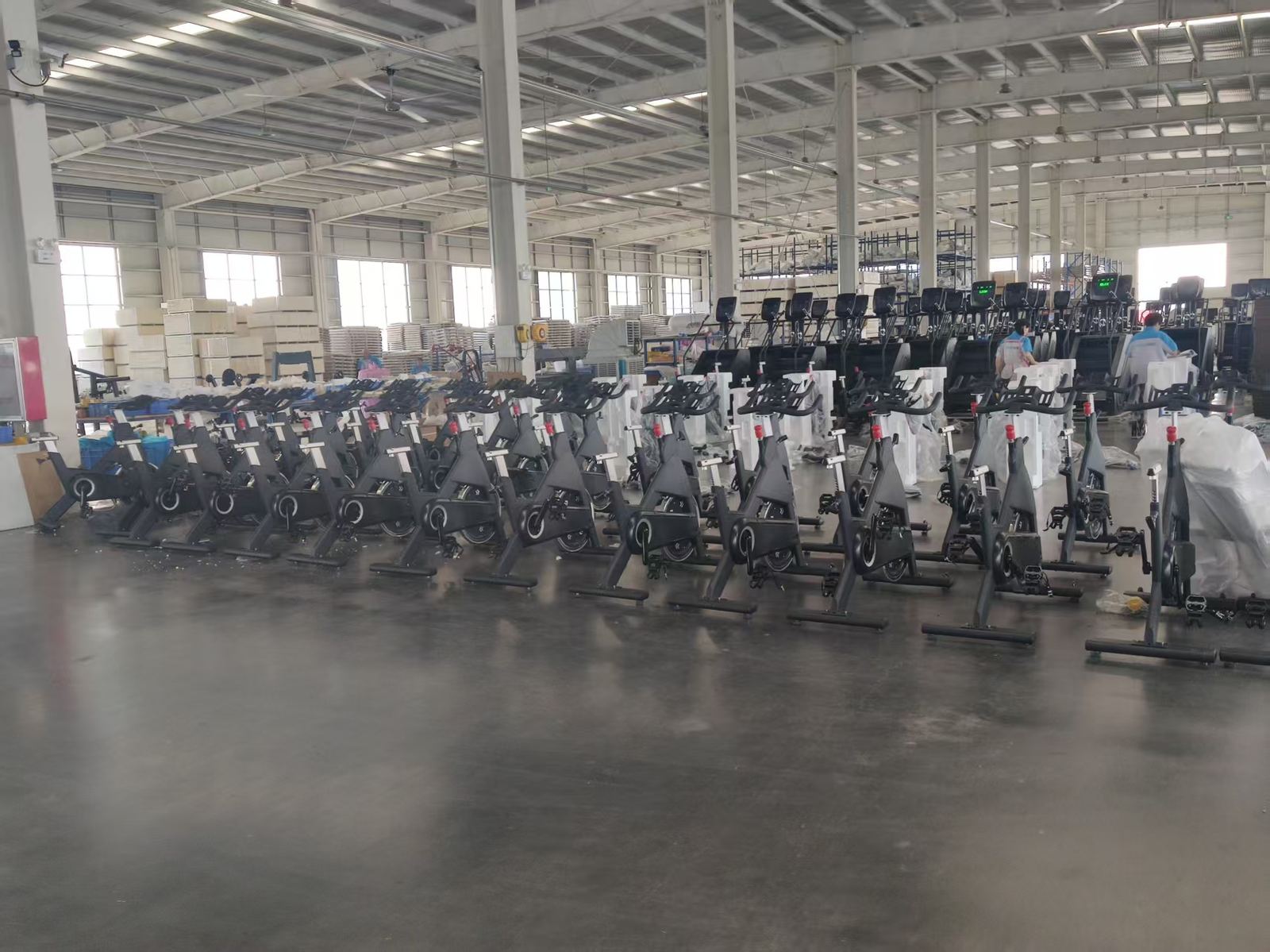 Yingdong finished-cardio staging line — commercial spin bikes ready for export