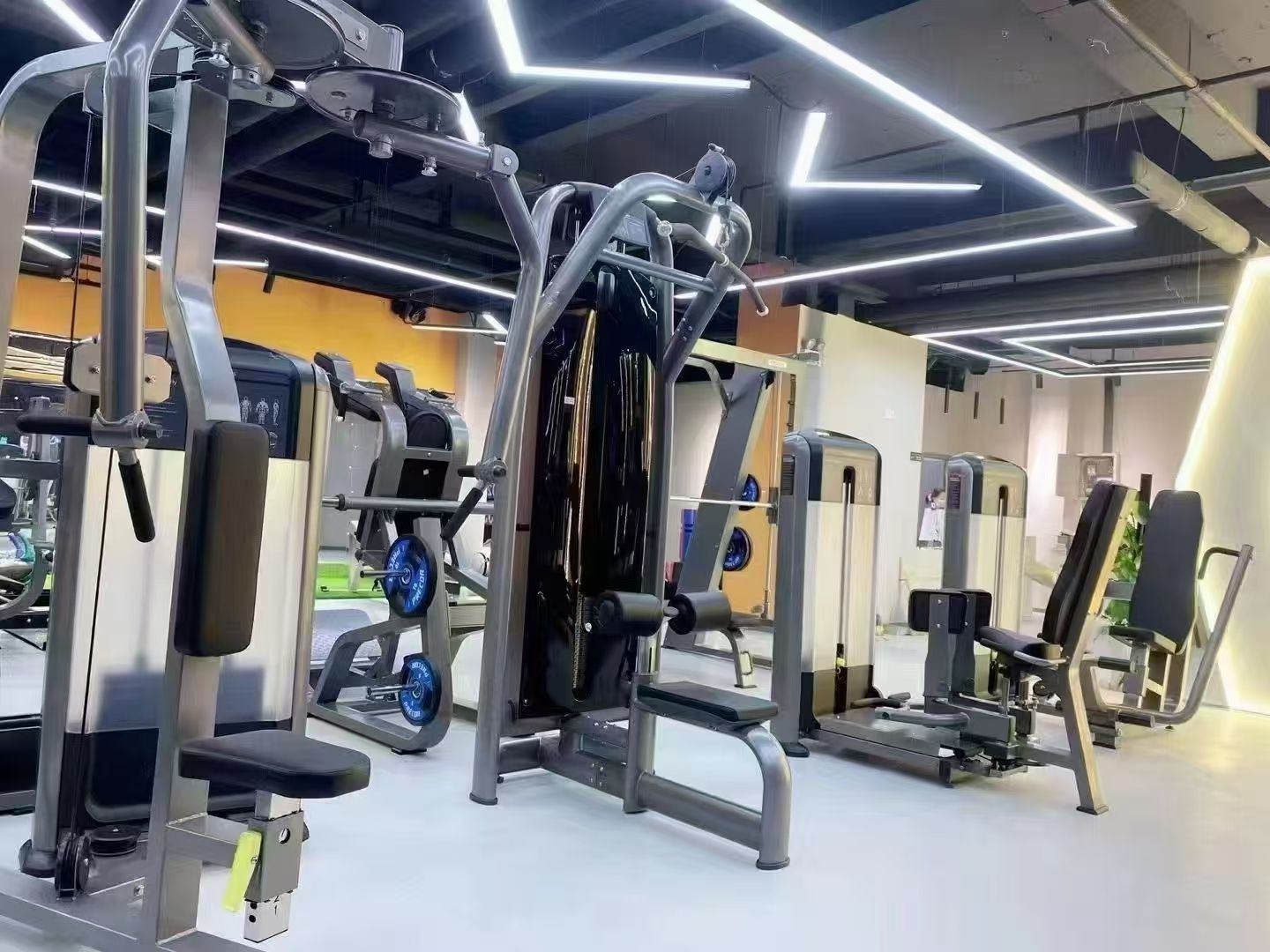 Functional Trainer