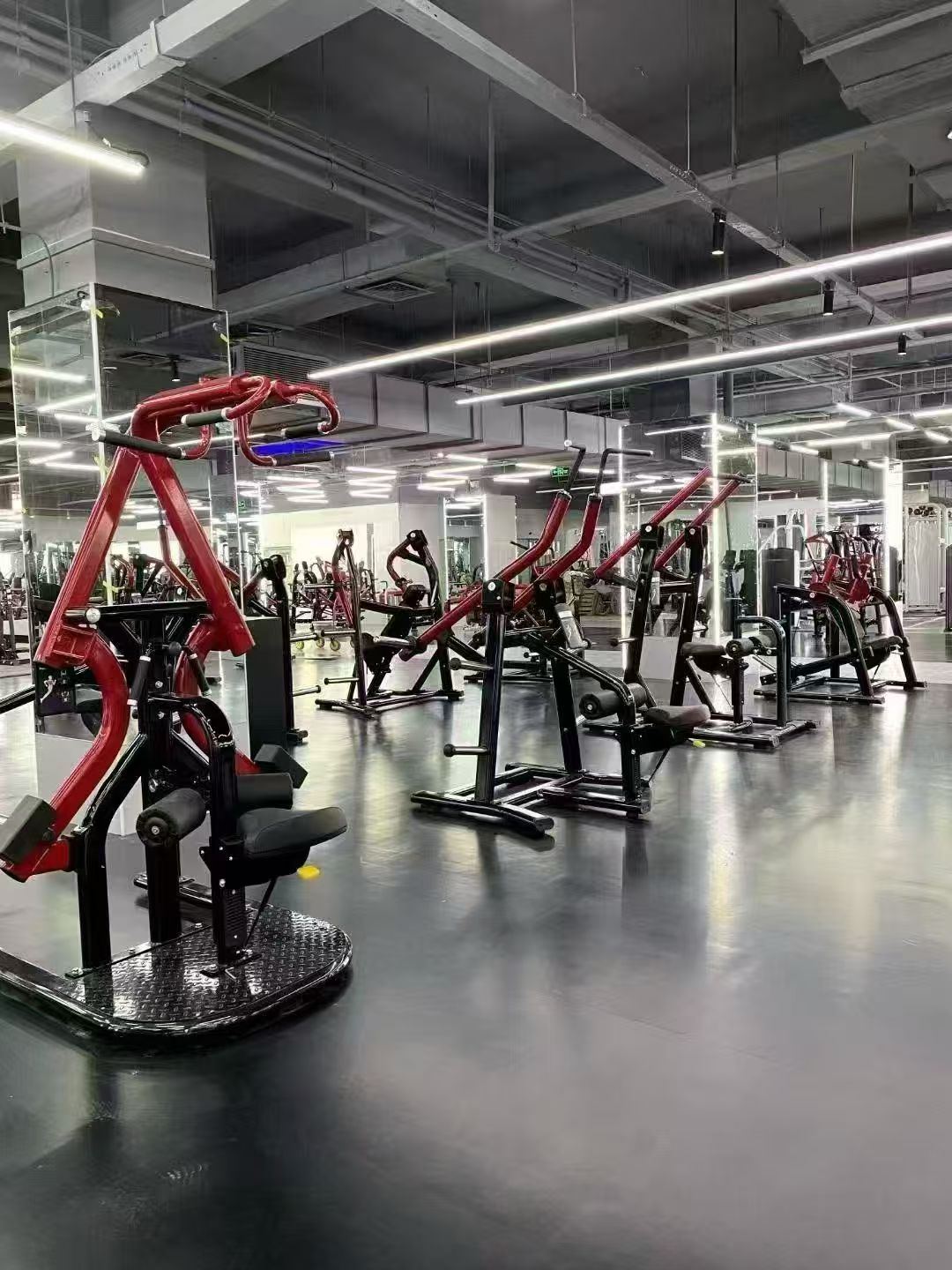 Leg Curl Machine