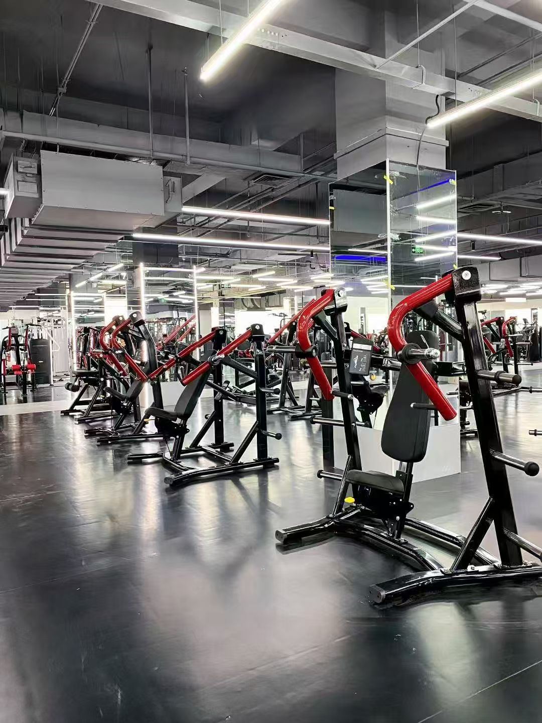 Plate-loaded strength machines on display
